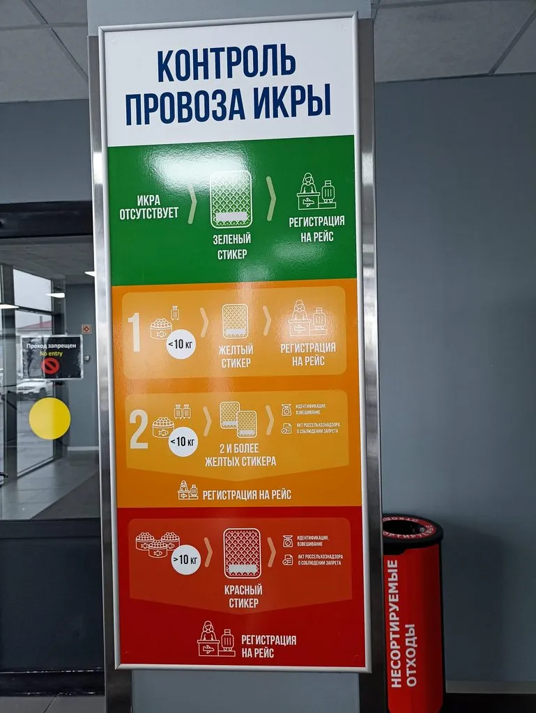 Камчатка - ты одна у нас такая! 