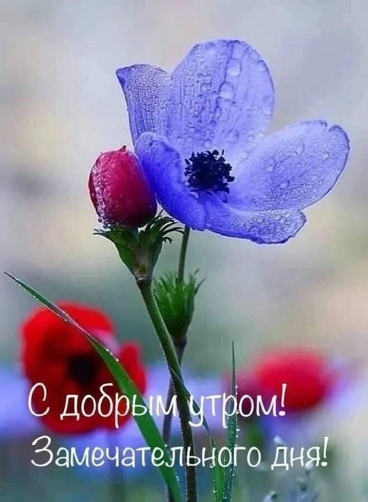 Кафе «У пани Сони»