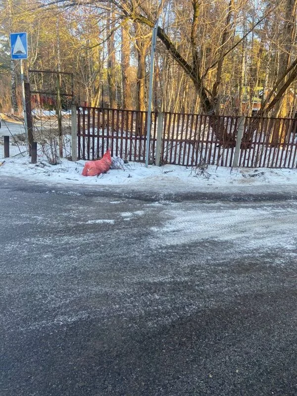 Чайная беседка