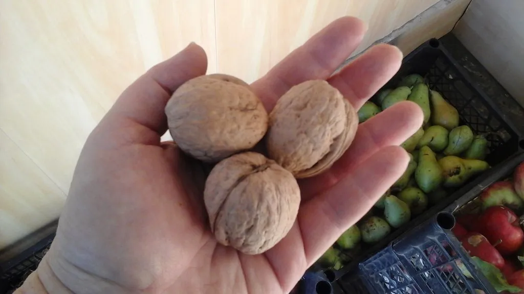 Чайная беседка