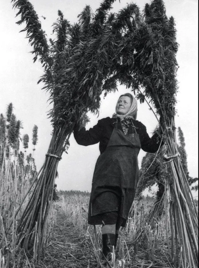 Это интересно!