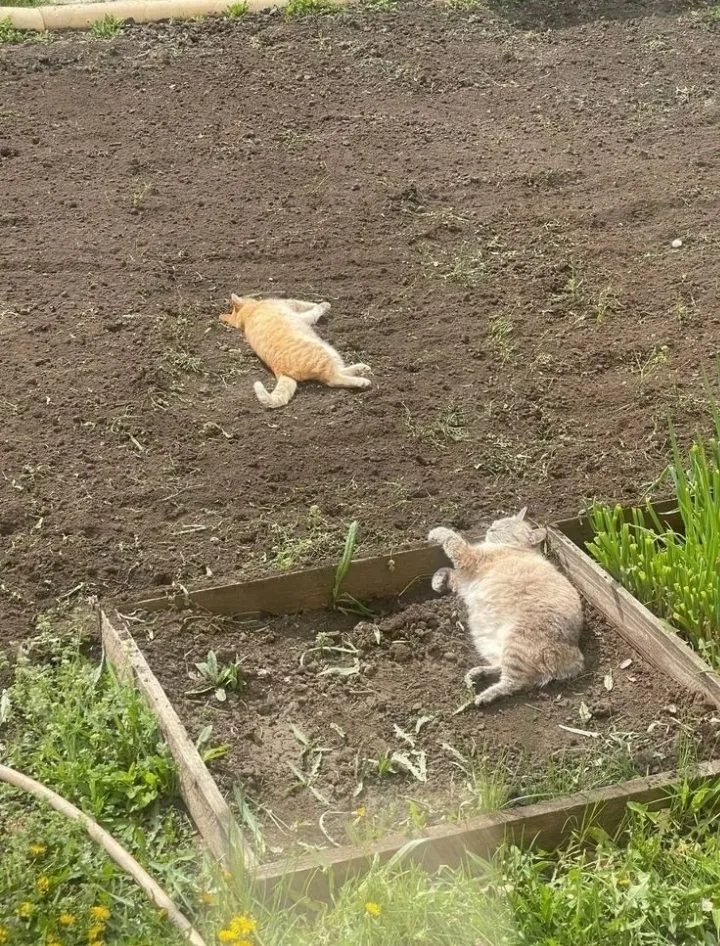 Посмеялся сам - поделись с другом!!!