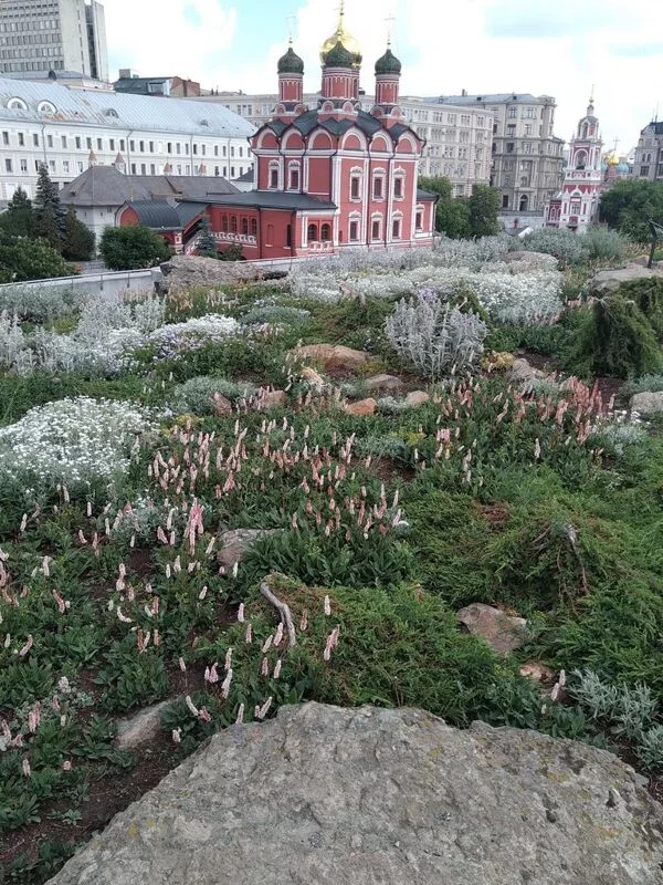Что в Москве слышно? 