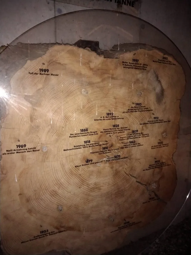 Мое австрийское житие