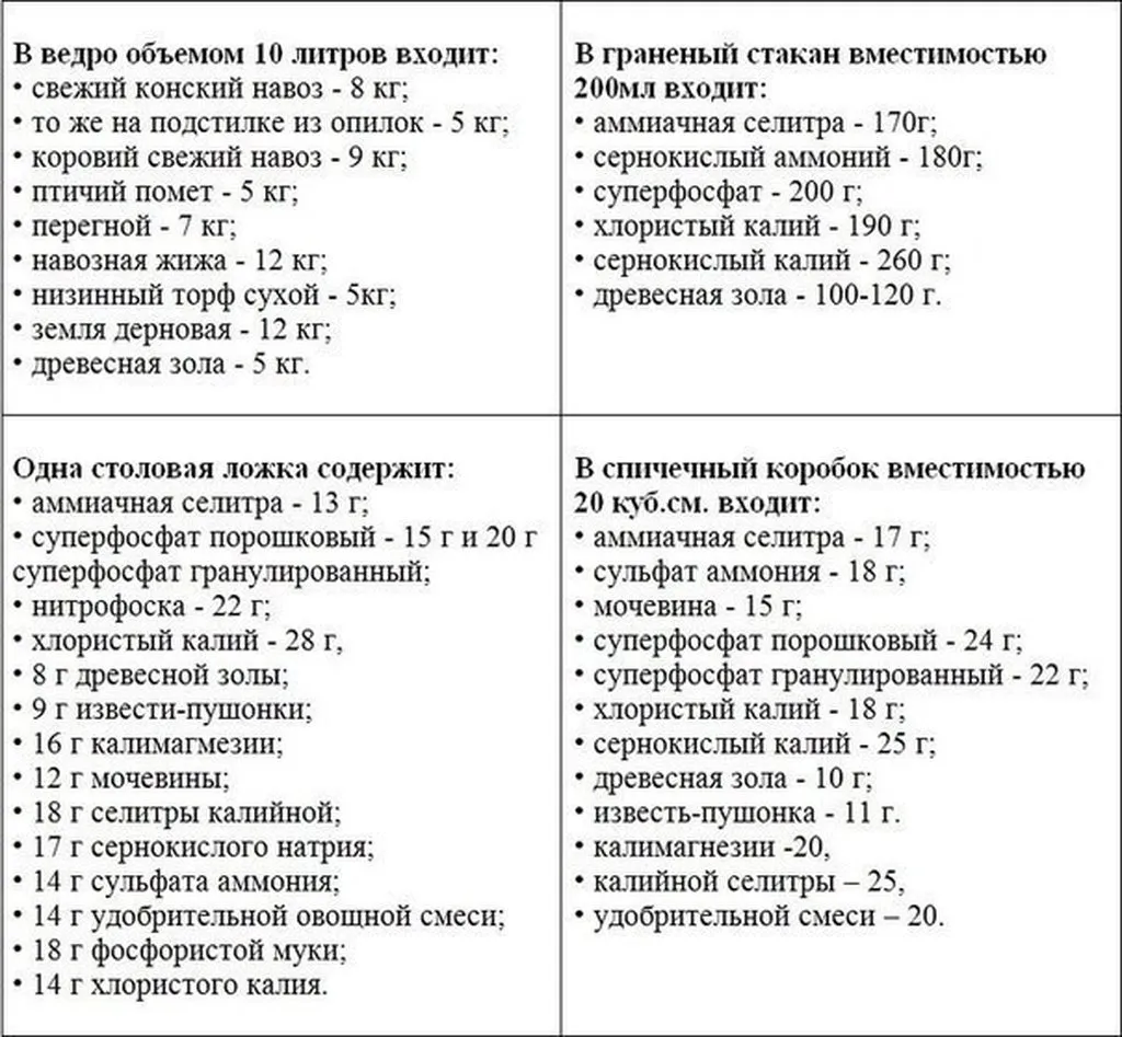 Садовая  инфографика