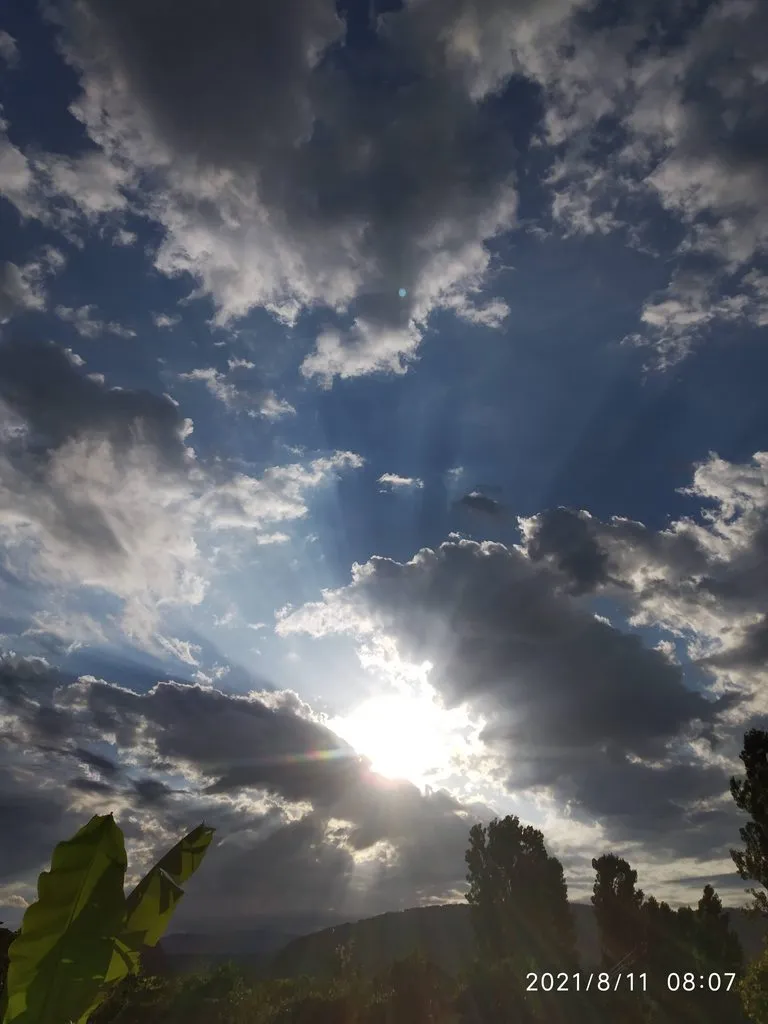 Tapтaлeтки & Ко