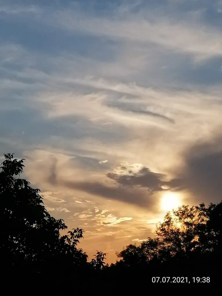 Чайная беседка