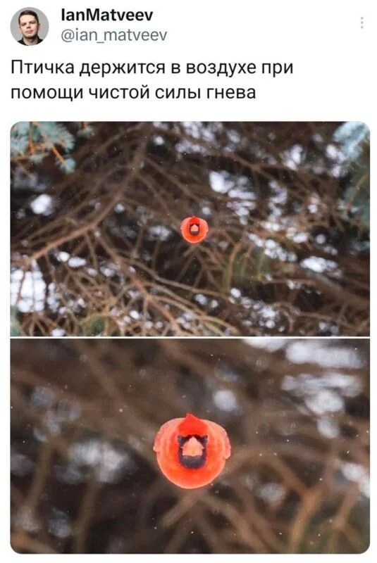 Посмеялся сам - поделись с другом!!!