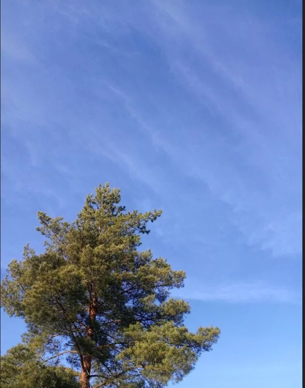 Такое разное небо