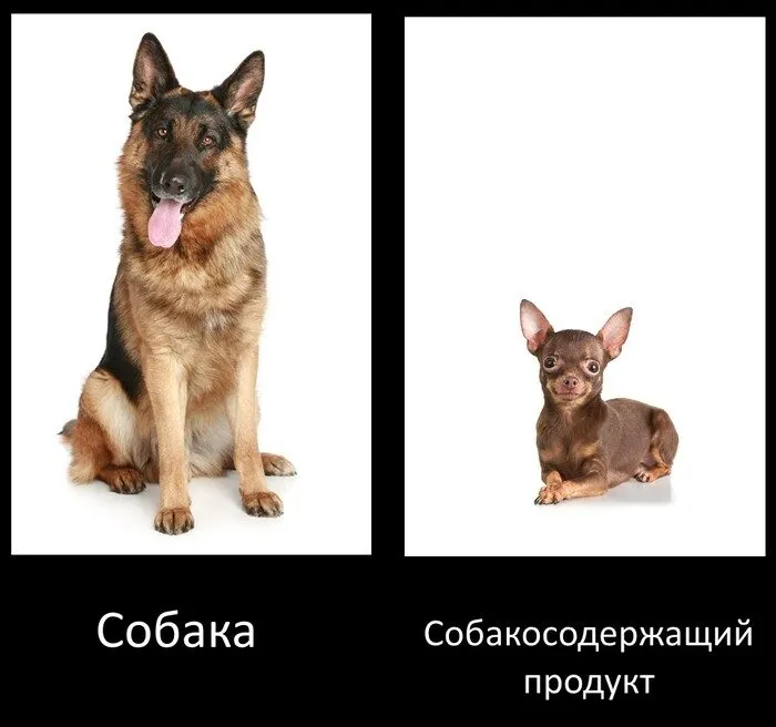 Посмеялся сам - поделись с другом!!!