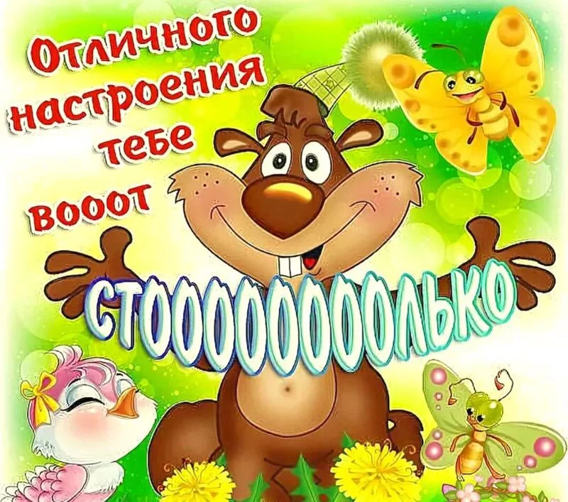 Позитивчик (фото, видео, рассказы для хорошего настроения)