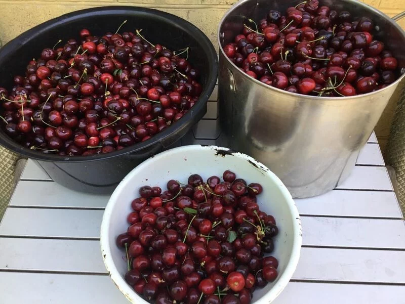 Чайная беседка