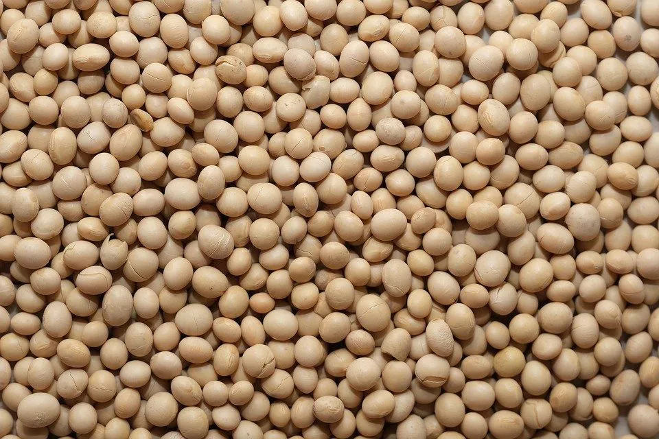 Ингредиент, который есть практически в любом магазинном продукте