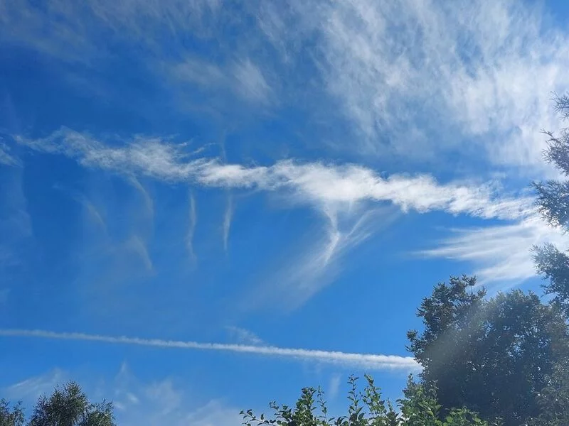 Такое разное небо