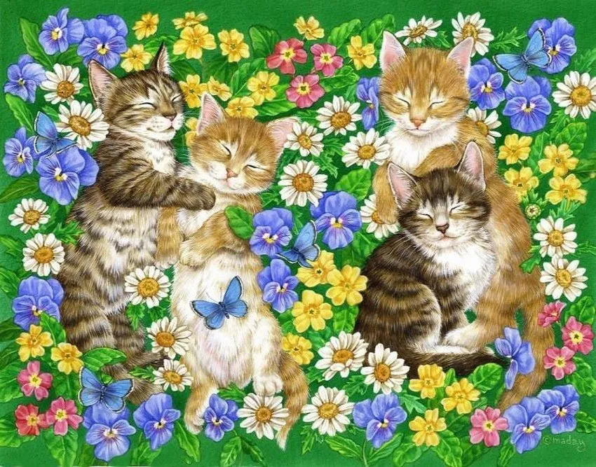 Кафе «У пани Сони»