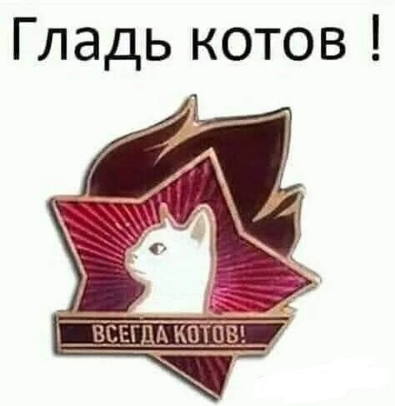 Кто сказал "Мяу"?