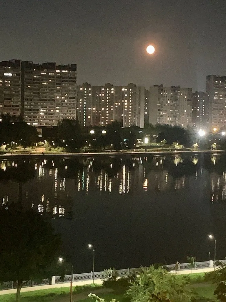 Такое разное небо