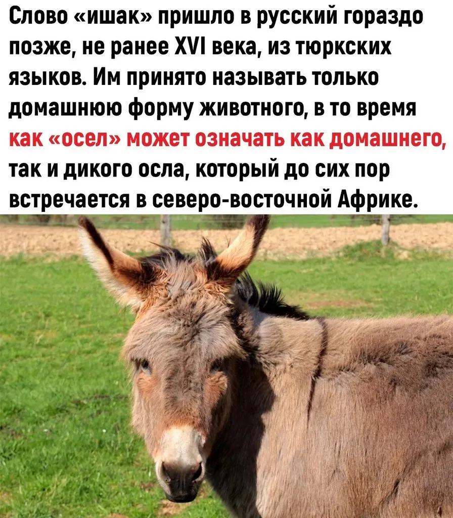 Это интересно!