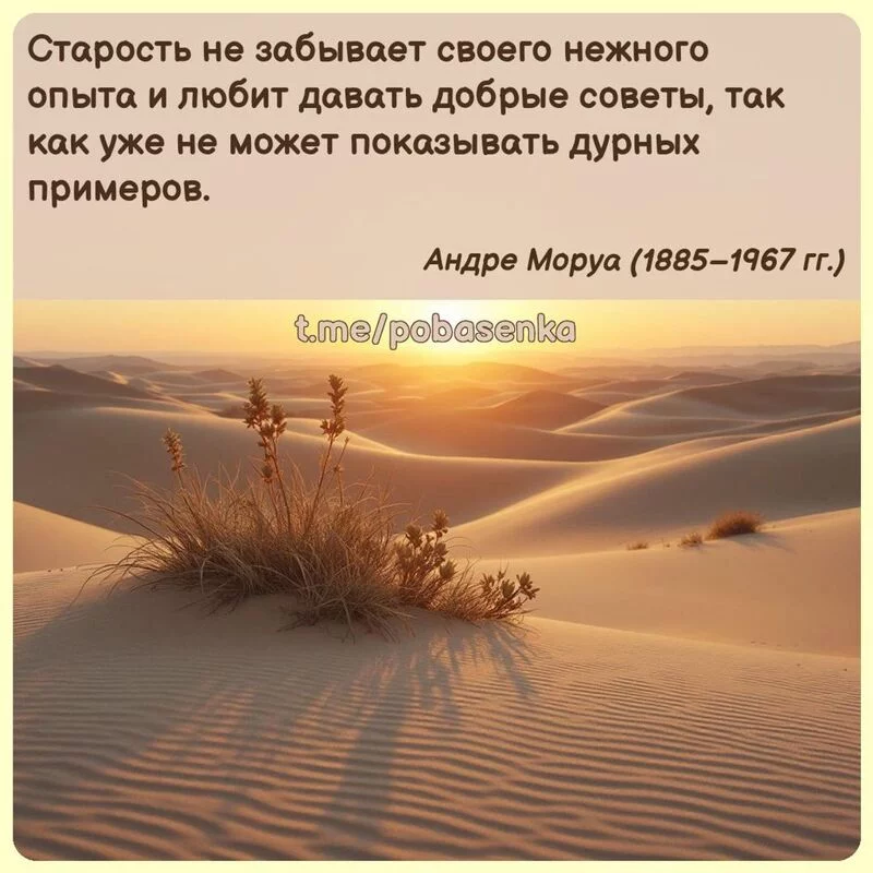 «Старость не забывает своего нежного опыта и любит давать добрые советы, так как уже не может показывать дурных...» height="550" width="550"