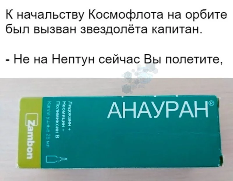 Всюду рифмы