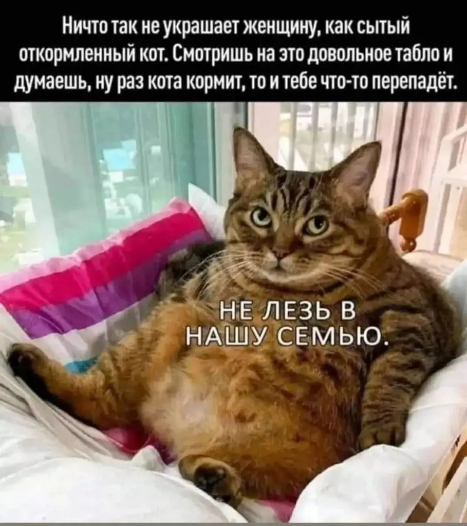 Посмеялся сам - поделись с другом!!!