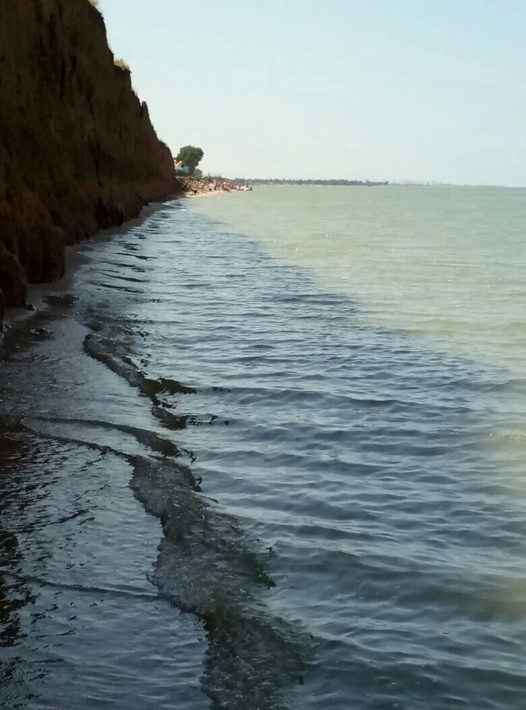 Выбирaю комбaйн, блендер, процессор