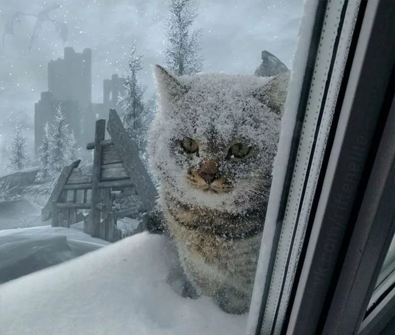 Рассказы для души