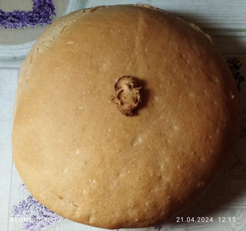 Tapтaлeтки & Ко