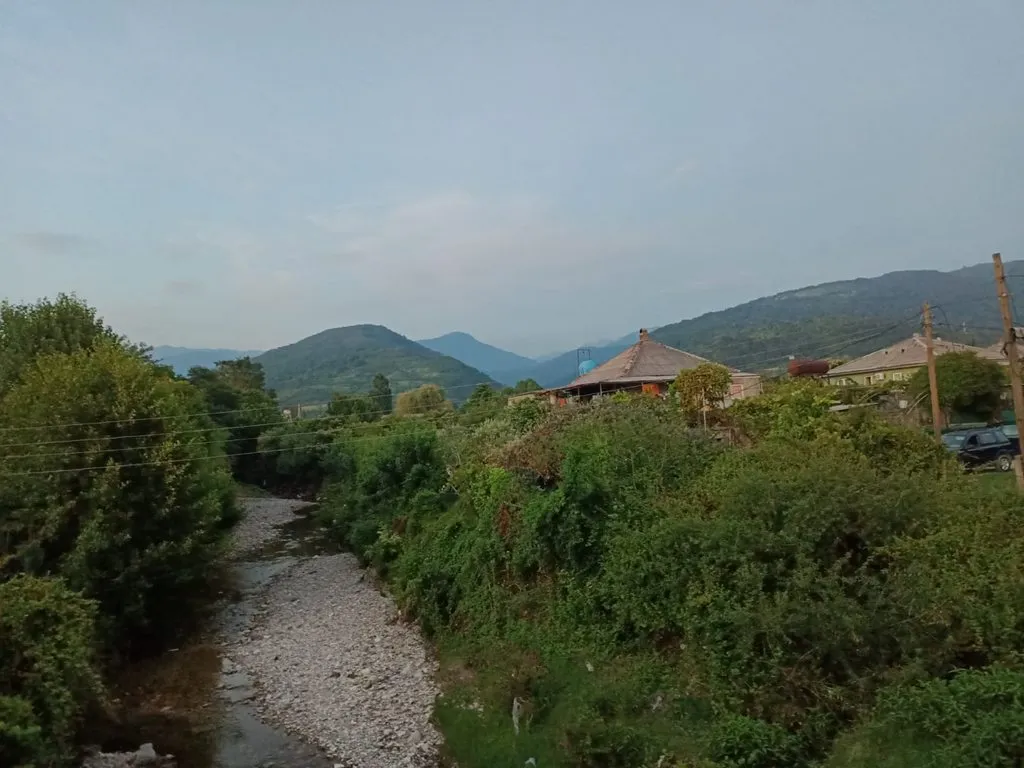 Tapтaлeтки & Ко