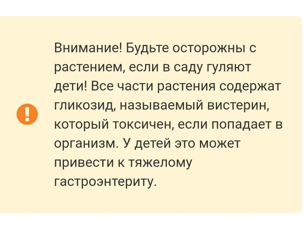 Кафе «У пани Сони»