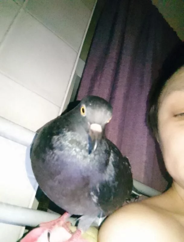 Tapтaлeтки & Ко