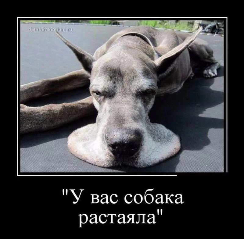 Посмеялся сам - поделись с другом!!!