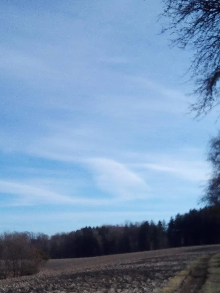 Tapтaлeтки & Ко