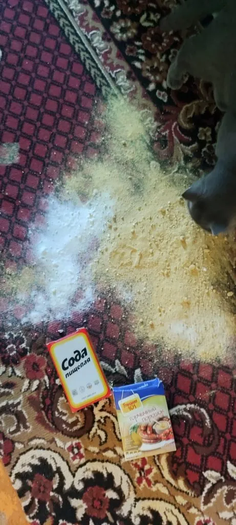 Tapтaлeтки & Ко