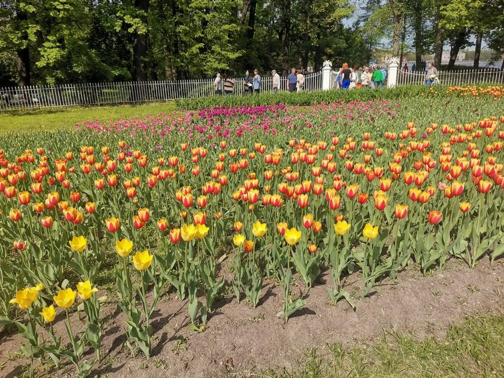 Выходные в Питере, или Куда сходить с друзьями в Санкт-Петербурге