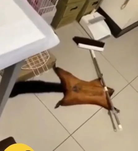 Посмеялся сам - поделись с другом!!!