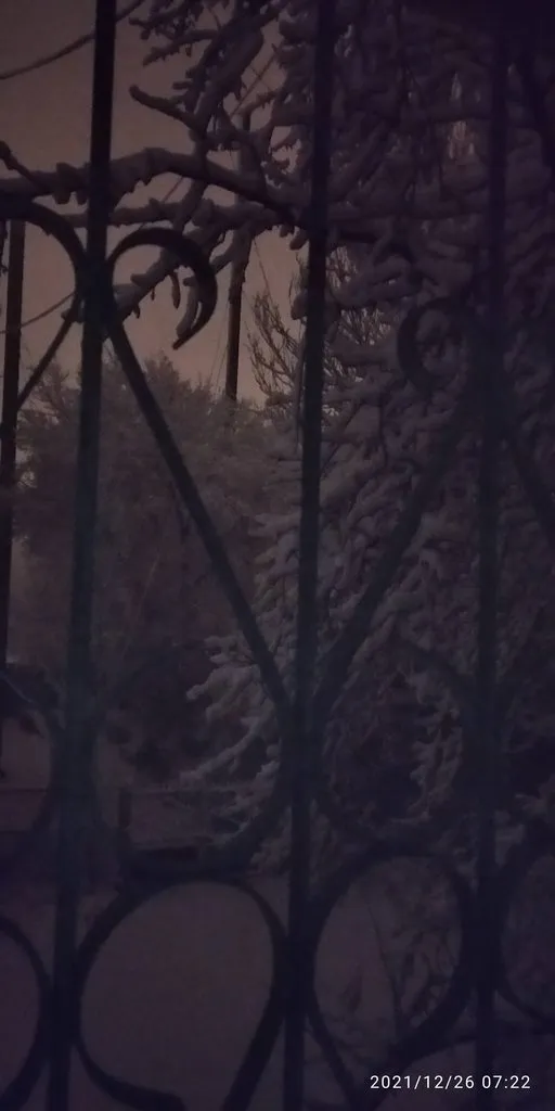 Tapтaлeтки & Ко