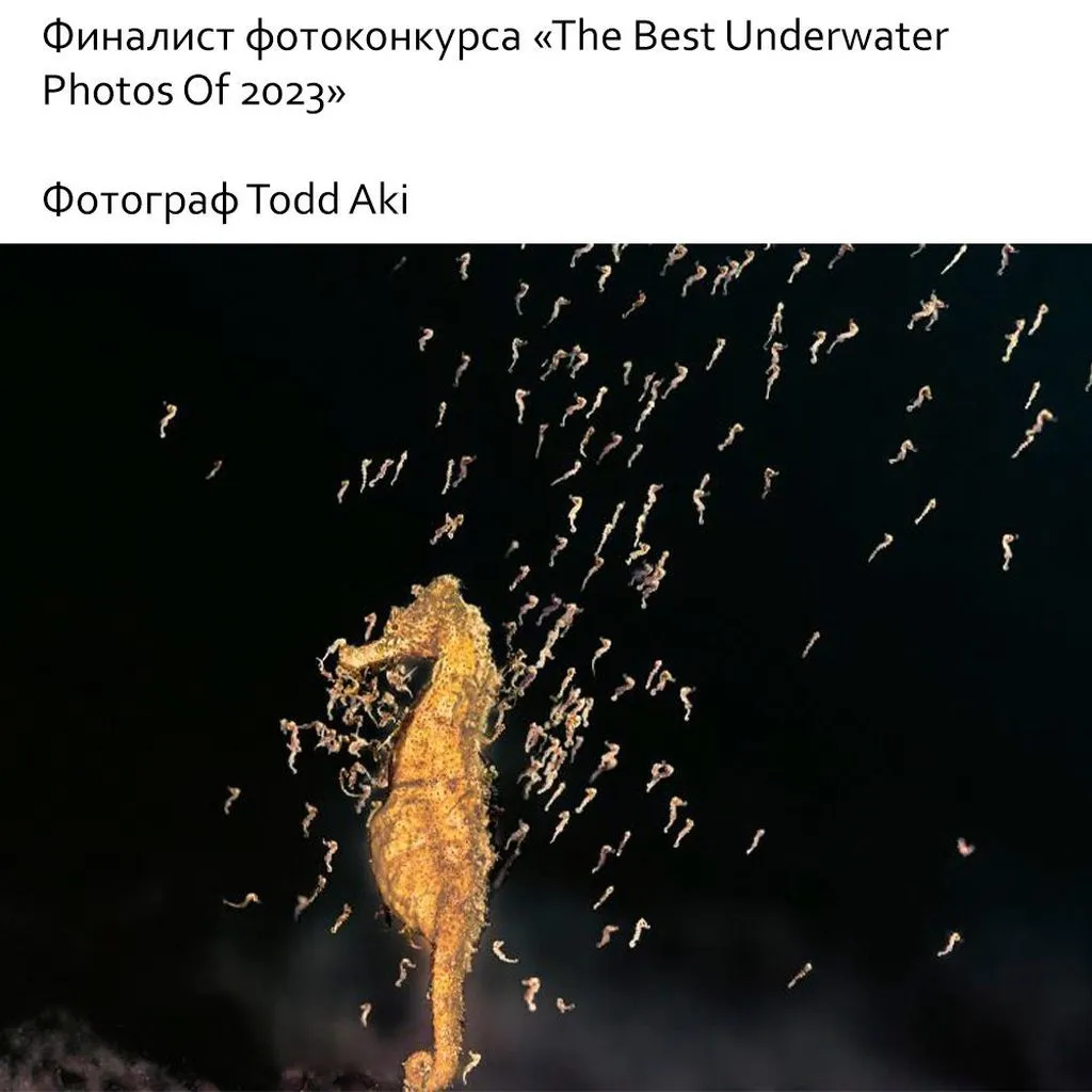Это интересно!