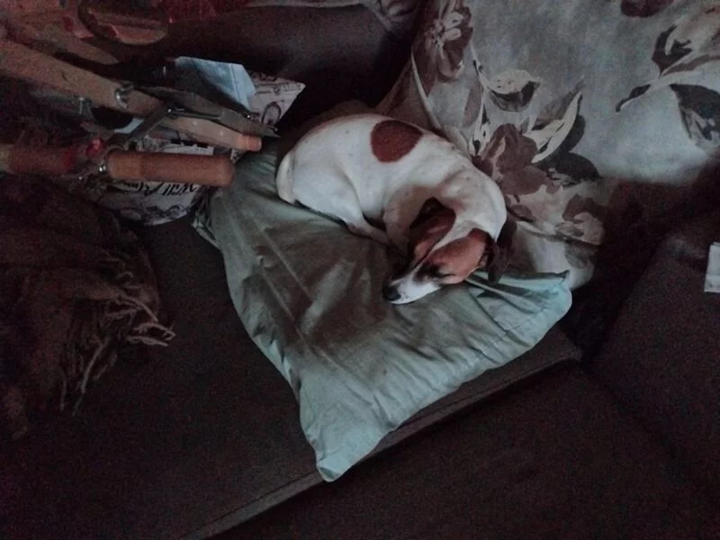 Чайная беседка