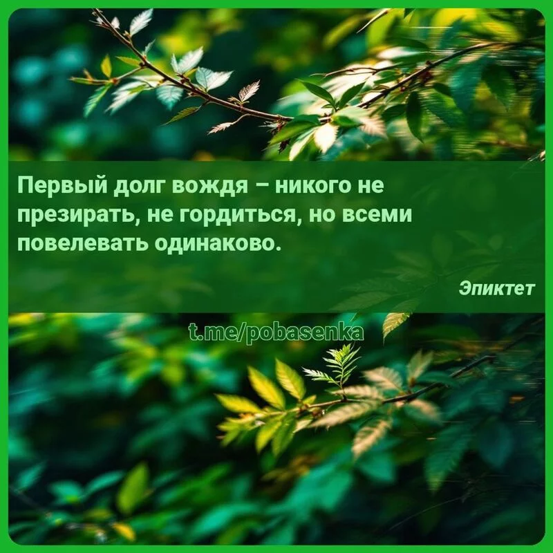 «Первый долг вождя никого не презирать, не гордиться, но всеми повелевать...» height="550" width="550"
