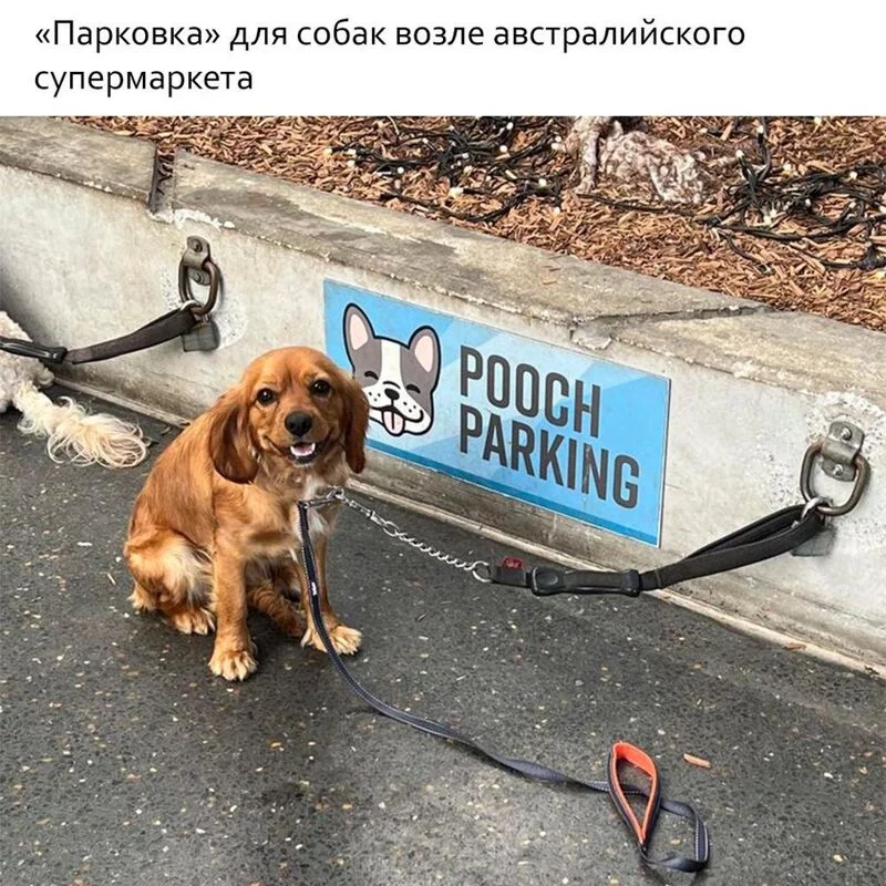 Это интересно!