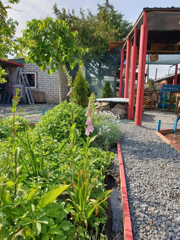 Чайная беседка