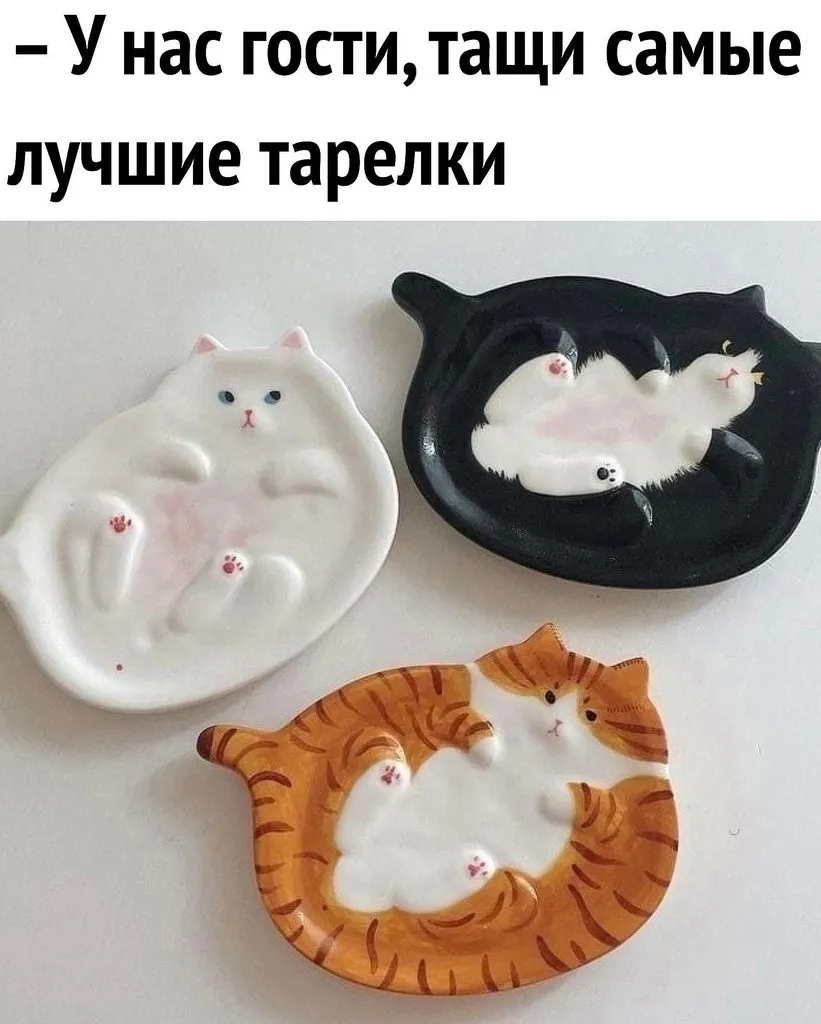 Позитивчик (фото, видео, рассказы для хорошего настроения)
