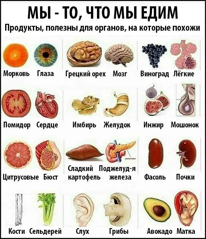 Медицинская инфографика