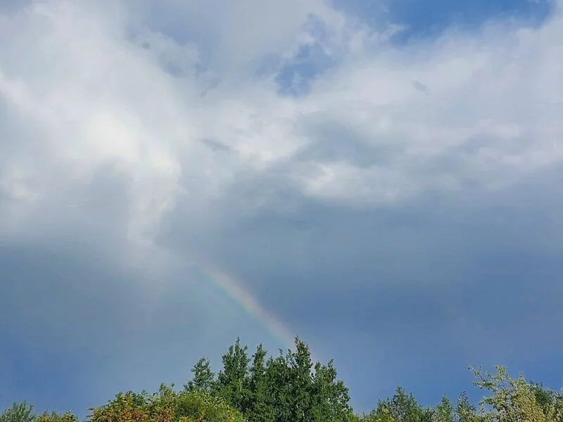 Такое разное небо