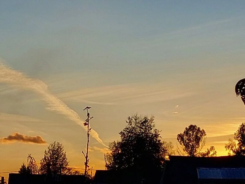 Такое разное небо