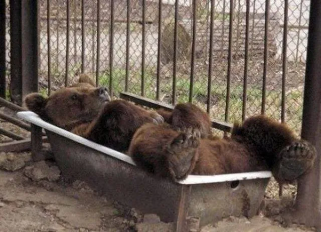 Посмеялся сам - поделись с другом!!!