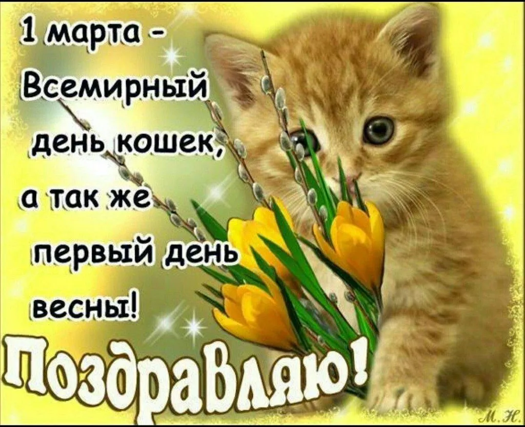 Кафе «У пани Сони»