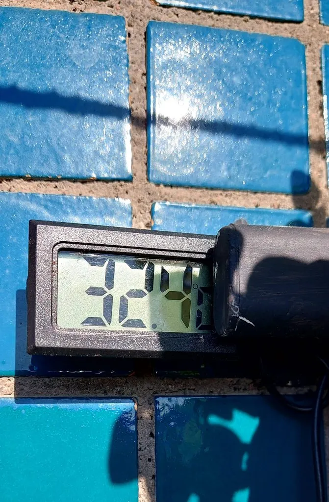 Tapтaлeтки & Ко