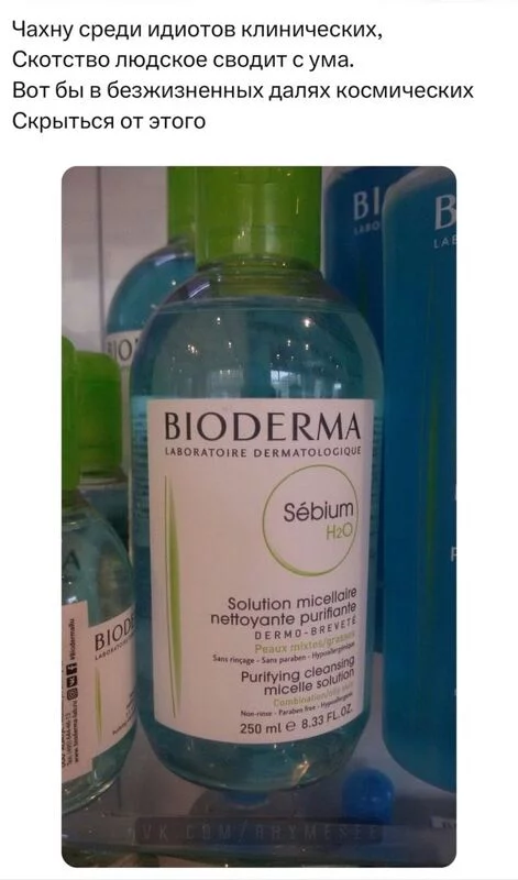 Всюду рифмы